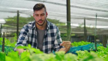 Serada çalışan saydam tabletli genç bahçıvan.  