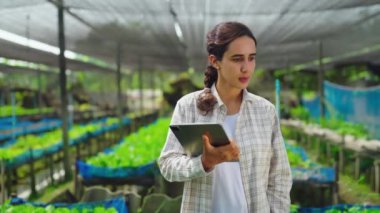 Serada tabletle çalışan genç bir kadın bahçıvan.