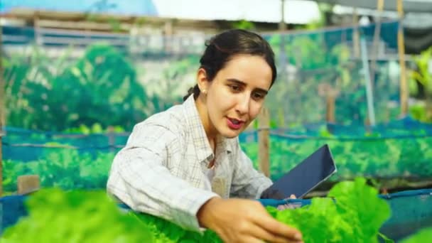 Молодая Женщина Садовник Работает Теплице Планшетным — стоковое видео