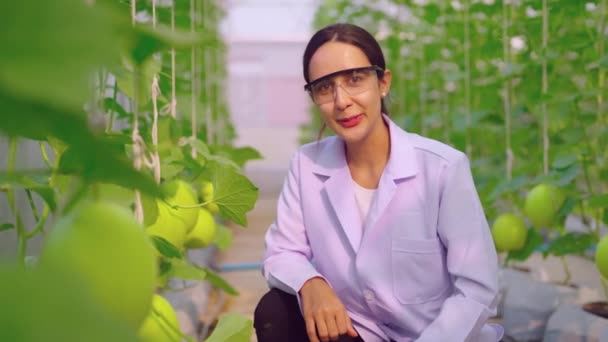 Jeune Femme Jardinier Parler Dans Serre — Video