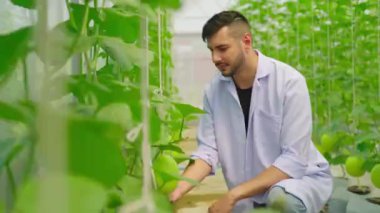 Serada çalışan genç bahçıvan.  