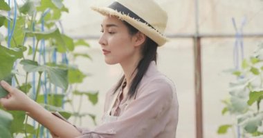 Serada çalışan genç Asyalı kadın bahçıvan.  