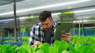Serada çalışan tabletli genç bahçıvan.  