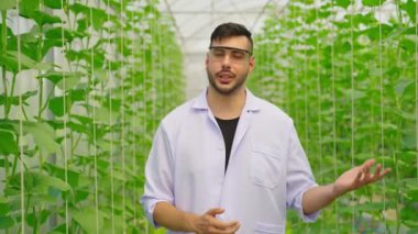 Serada çalışan genç bahçıvan.  