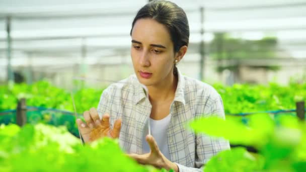 Mladá Žena Zahradnice Pracující Skleníku Průhlednou Tabletou — Stock video
