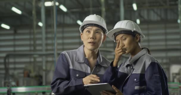 Trabalhadores Masculinos Femininos Usando Capacetes Fábrica — Vídeo de Stock