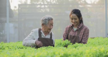 Serada çalışan genç bir kızla birlikte son sınıf öğrencisi.