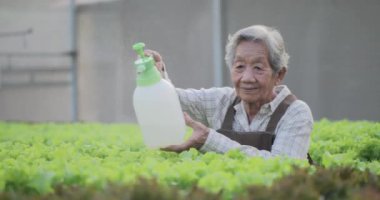 Serada yeşil bitkileri olan olgun bir kadın