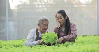 Serada çalışan genç bir kızla birlikte son sınıf öğrencisi.