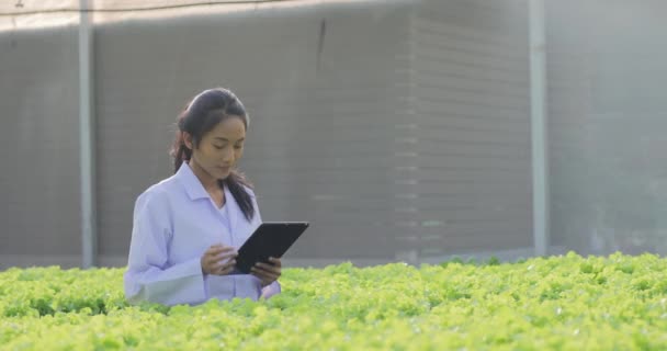 Jeune Femme Jardinier Travaillant Serre Avec Tablette — Video