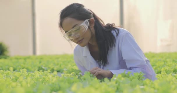 在温室工作的年轻妇女 — 图库视频影像