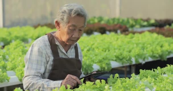 Érett Zöld Növények Üvegházban — Stock videók