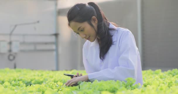 Mladá Žena Zahradník Pracuje Skleníku Tabletou — Stock video