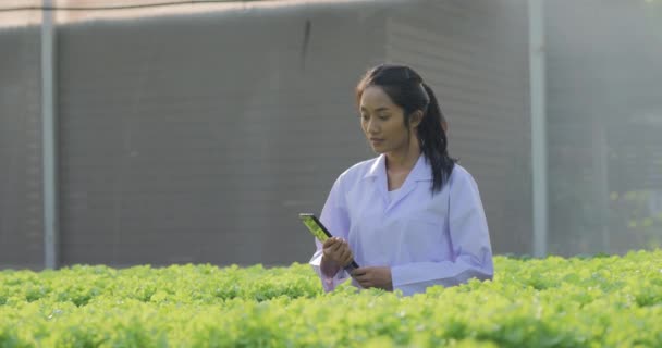 Νεαρή Γυναίκα Κηπουρός Που Εργάζονται Θερμοκήπιο Tablet — Αρχείο Βίντεο