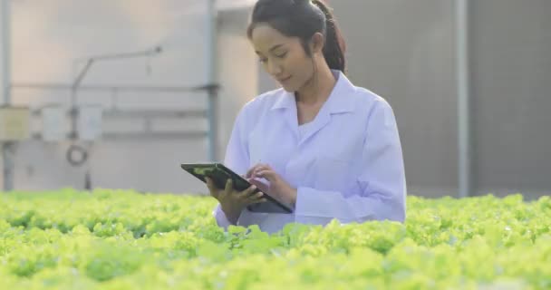 Mujer Joven Jardinero Trabajando Invernadero Con Tableta — Vídeos de Stock