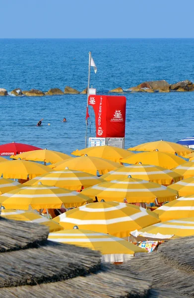 Termoli Molise Olaszország 2019 Esernyők San Antonio Homokos Strandján — Stock Fotó