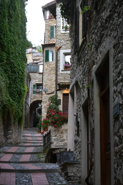 Dolceacqua Liguria Italia 2023 Antico Borgo Medievale Dolceacqua Nell Entroterra — Foto Stock