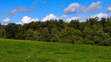 Lush green meadow with dense forest and cloudy blue sky.