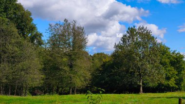 Lush green parkland with trees under a cloudy blue sky.