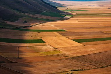 Panoramic view of farming or agricultural fields