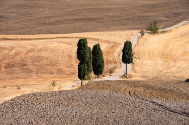Tuscany, Italy,  typical tuscanian landscape