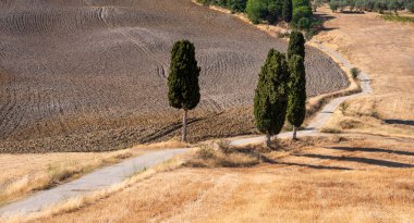 Tuscany, Italy,  typical tuscanian landscape