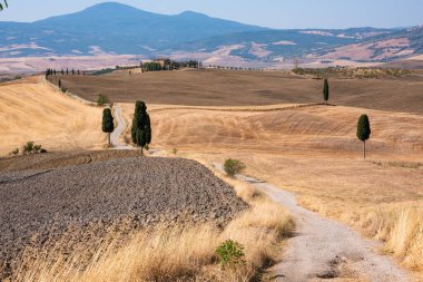 Tuscany, Italy,  typical tuscanian landscape
