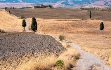Tuscany, Italy,  typical tuscanian landscape