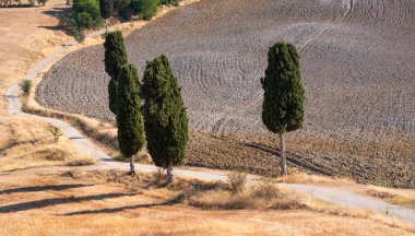 Tuscany, Italy,  typical tuscanian landscape