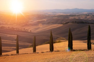 Tuscany, Italy,  typical tuscanian landscape