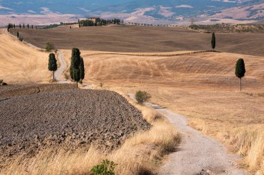 Tuscany, Italy,  typical tuscanian landscape
