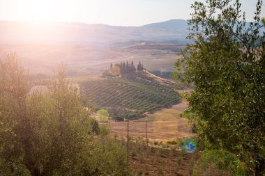 Tuscany, Italy,  typical tuscanian landscape