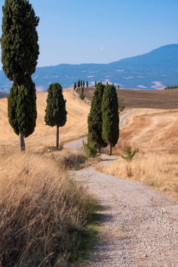 Tuscany, Italy,  typical tuscanian landscape