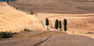 Tuscany, Italy,  typical tuscanian landscape