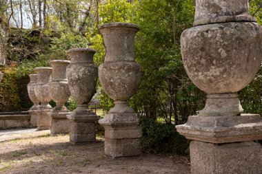 beautiful garden,  summer park 