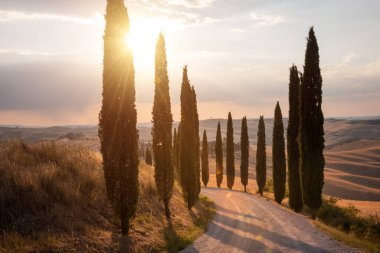 Tuscany, Italy,  typical tuscanian landscape
