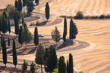 Tuscany, Italy,  typical tuscanian landscape clipart