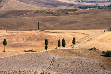 Tuscany, Italy,  typical tuscanian landscape