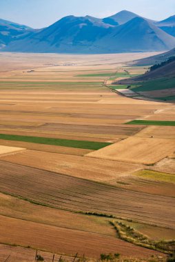 Panoramic view of farming or agricultural fields