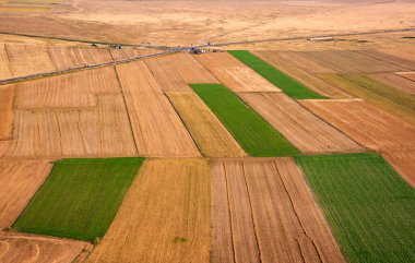 Panoramic view of farming or agricultural fields