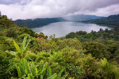 Lake surrounded by rainforest in island of Bali, Indonesia