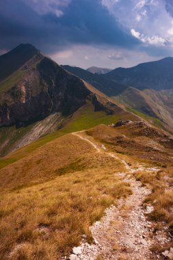 Summer mountain landscape with a trail,