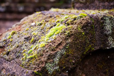 Old stone construction covered with moss