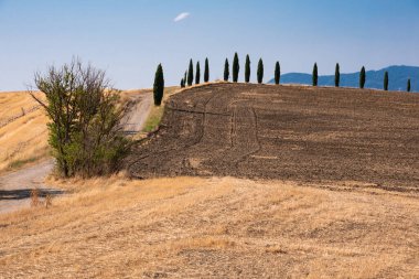 Tuscany, Italy,  typical tuscanian landscape