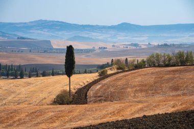 Tuscany, Italy,  typical tuscanian landscape