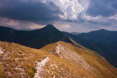 Summer mountain landscape with a trail,