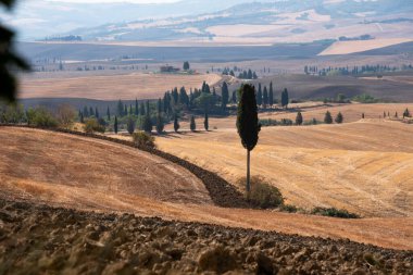 Tuscany, Italy,  typical tuscanian landscape