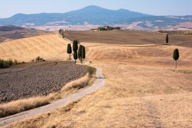 Tuscany, Italy,  typical tuscanian landscape