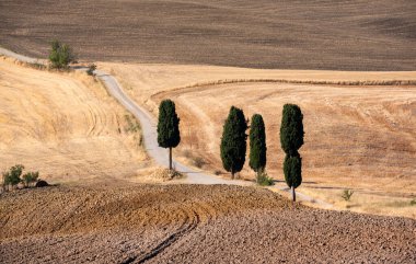 Tuscany, Italy,  typical tuscanian landscape