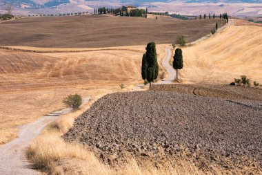 Tuscany, Italy,  typical tuscanian landscape